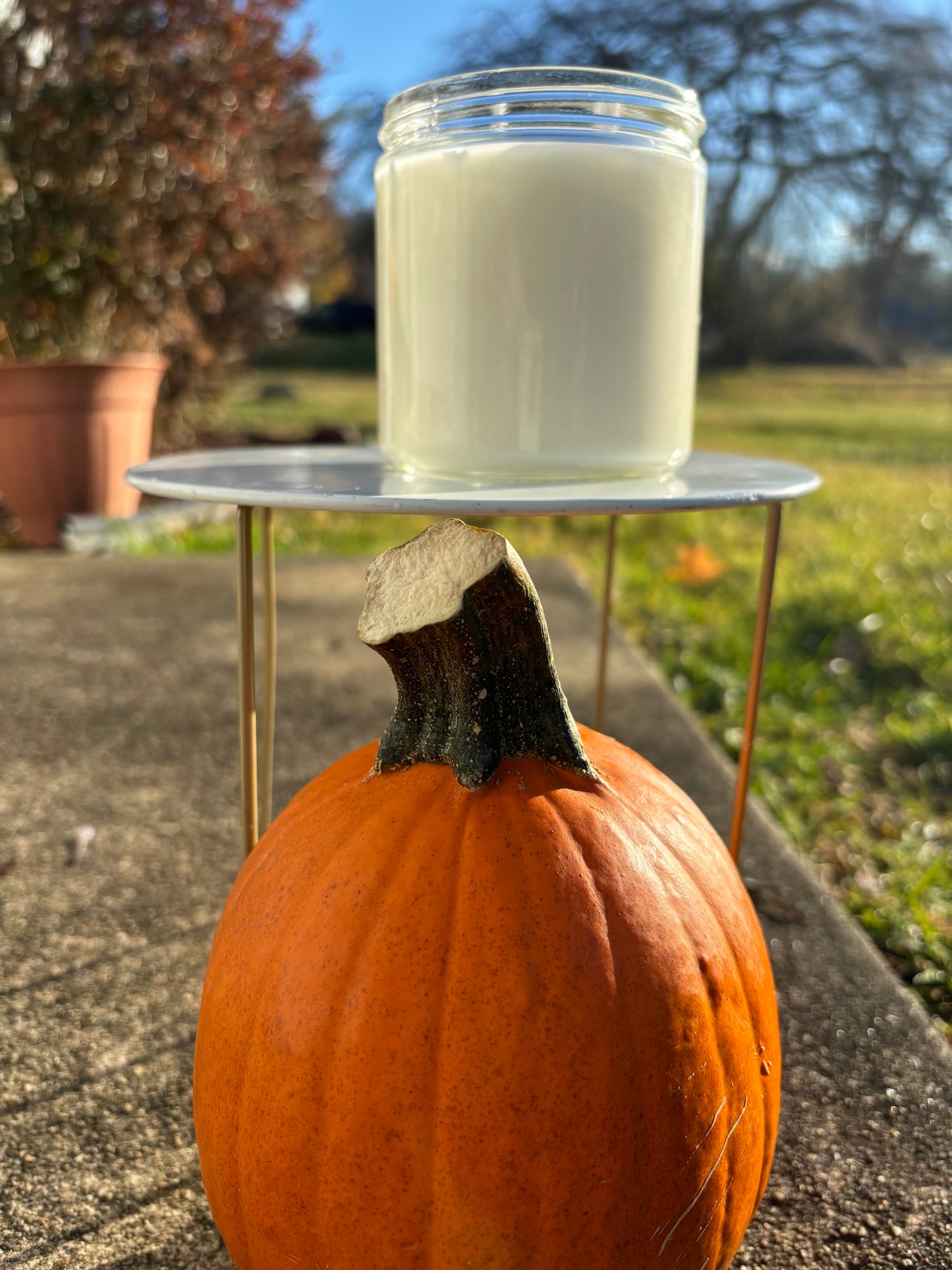 Warm Pumpkin Cake