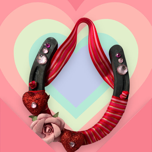 You Make My Heart Canter Decorated Horseshoe